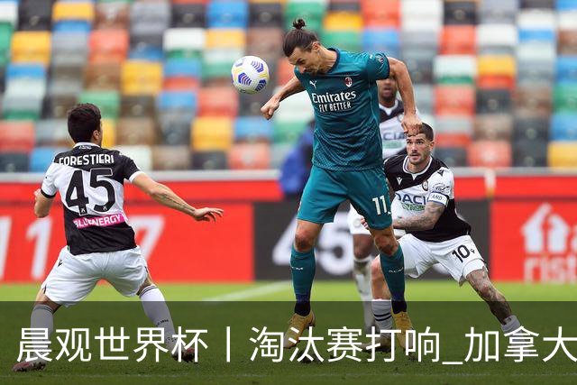 晨观世界杯丨淘汰赛打响 加拿大“绝杀”首进16强