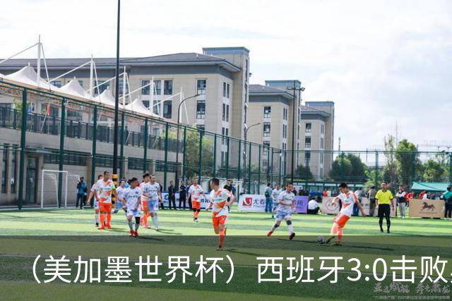（美加墨世界杯）西班牙3:0击败奥地利 本届世界杯保持零失球